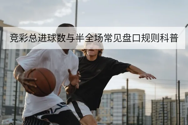 网球巡回赛积分榜排名与下一站赛程查询
